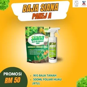 Promosi