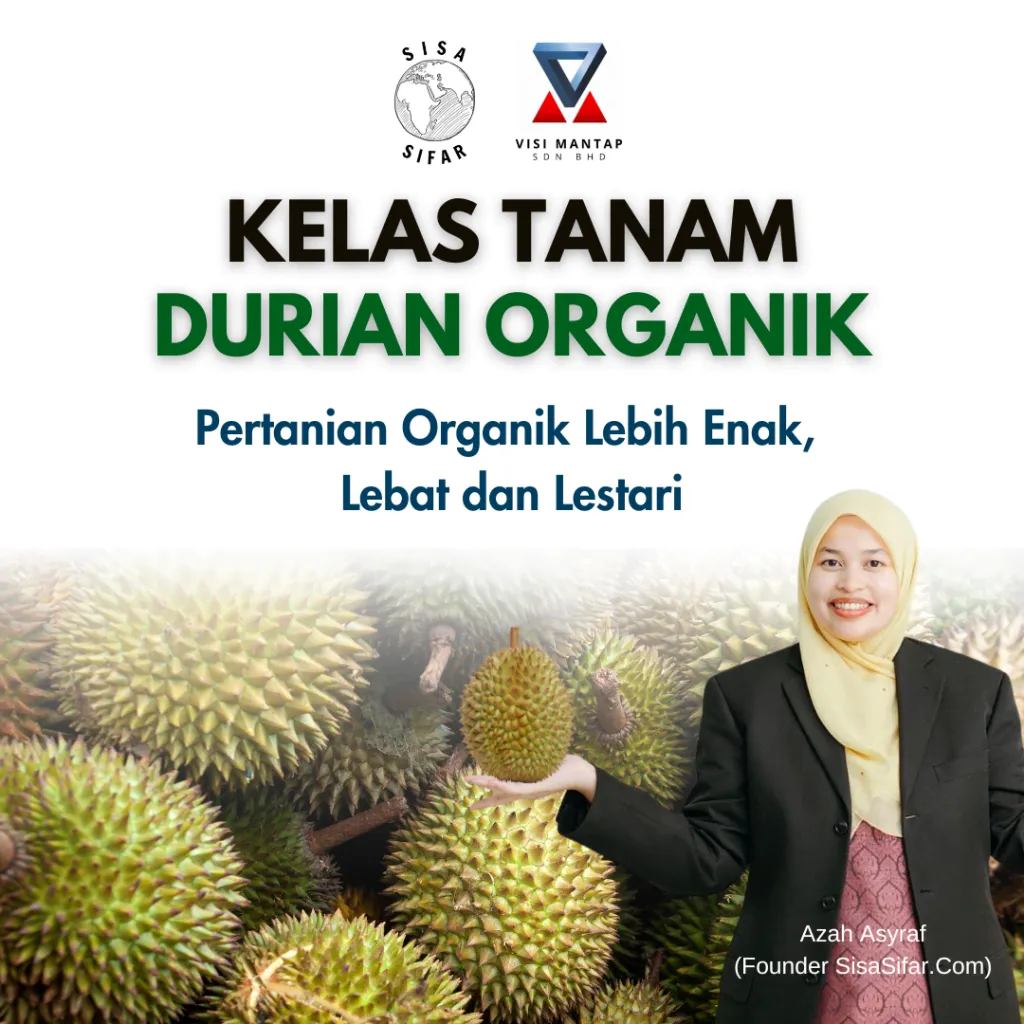 Kelas 2 1