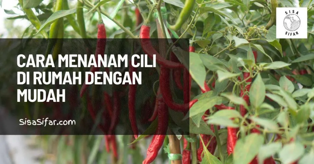 Tajuk Artikel Facebook