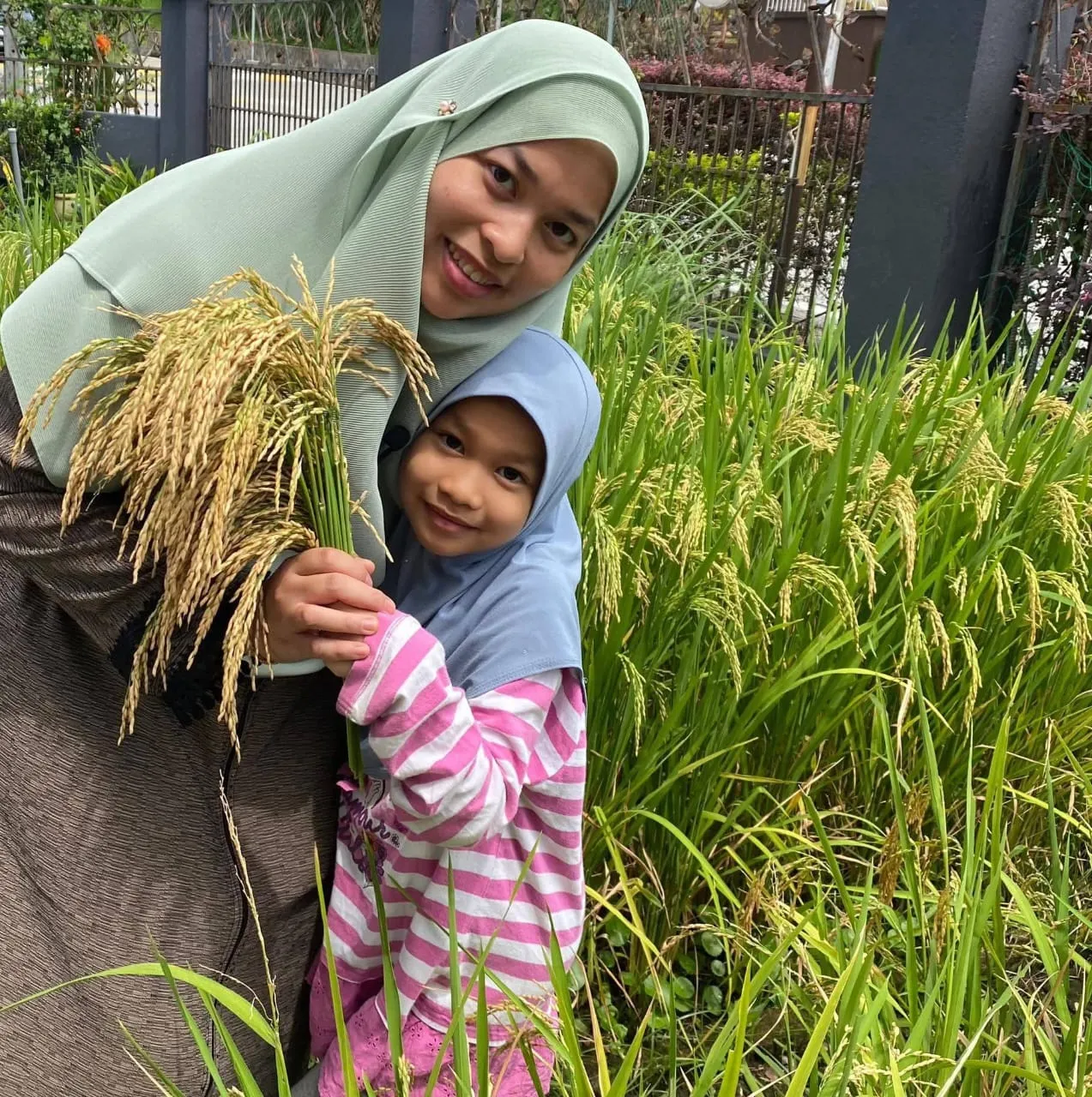 Makcik Kompos bersama anak dan padi yang ditanam di laman rumah
