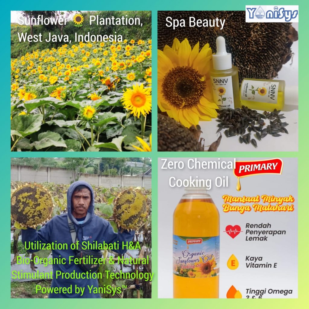 0a6be76b 7c30 4f38 910e a722fde026e3