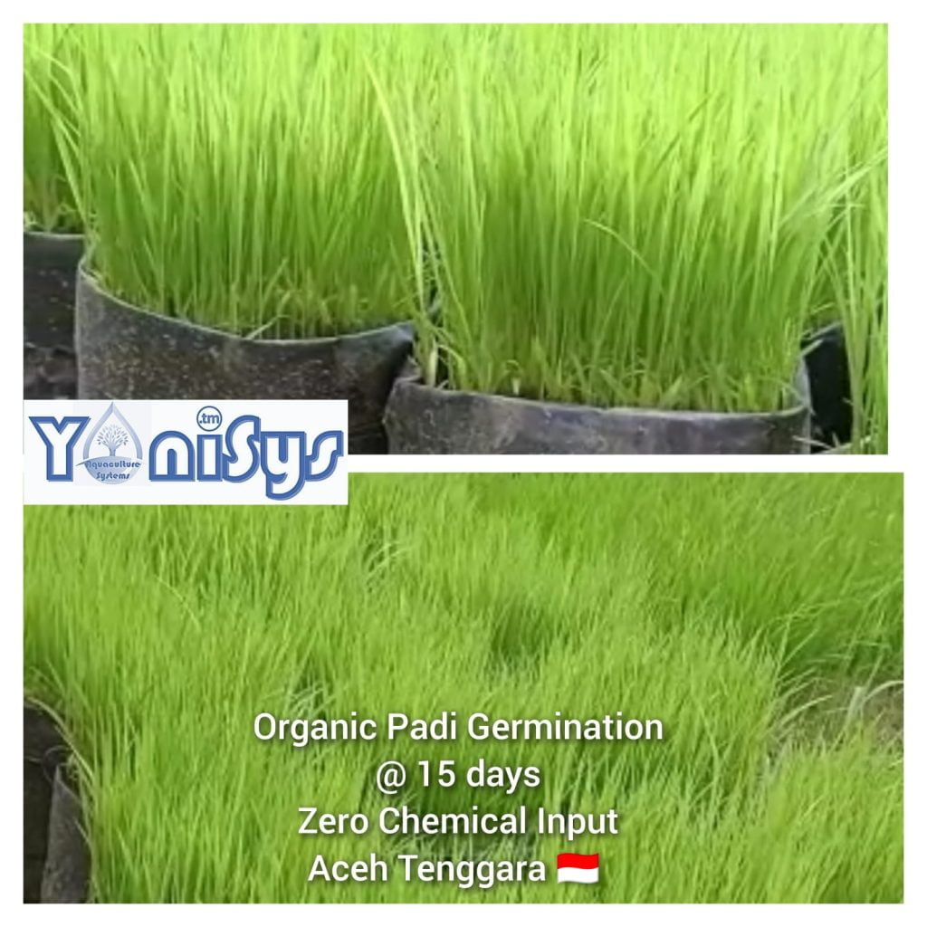 1edae23b bda4 46d5 93cc 8b1a363f8fb9