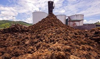 6586475529 Oil Palm Mill Waste E1536632143596