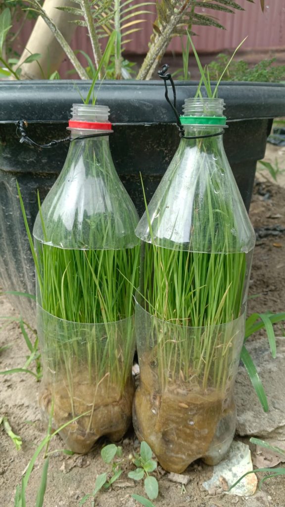 6b61df7e 2b83 4ecd ba73 ecf2fb4140fa