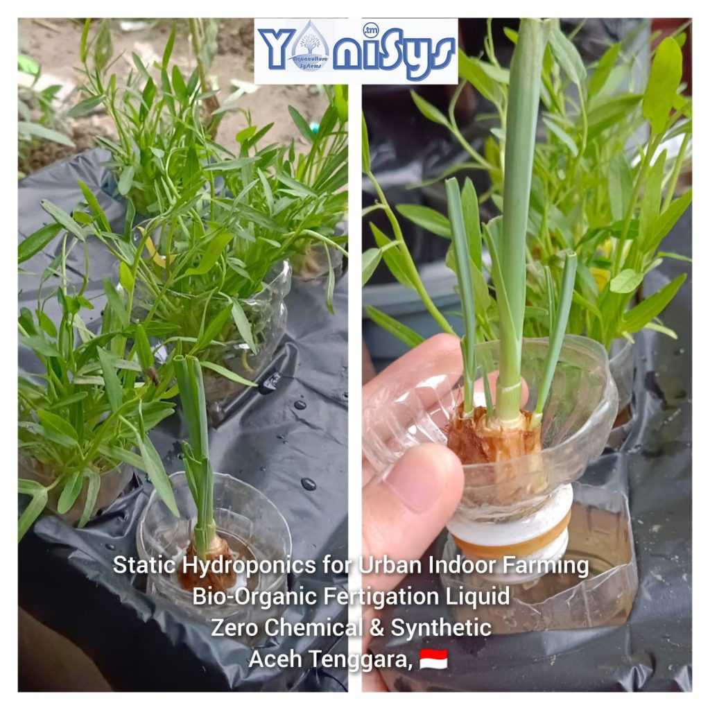 WhatsApp Image 2023 11 07 at 2.17.05 PM