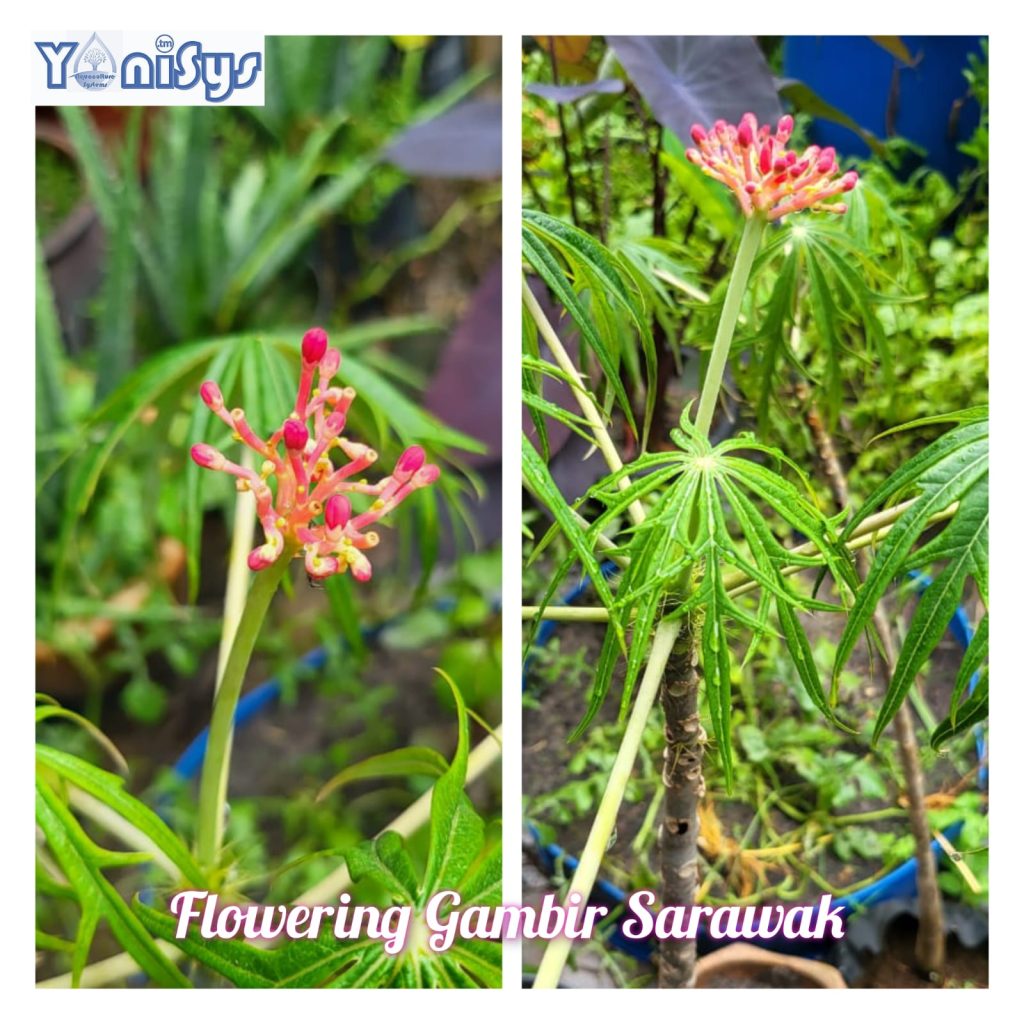 WhatsApp Image 2023 11 07 at 2.17.07 PM