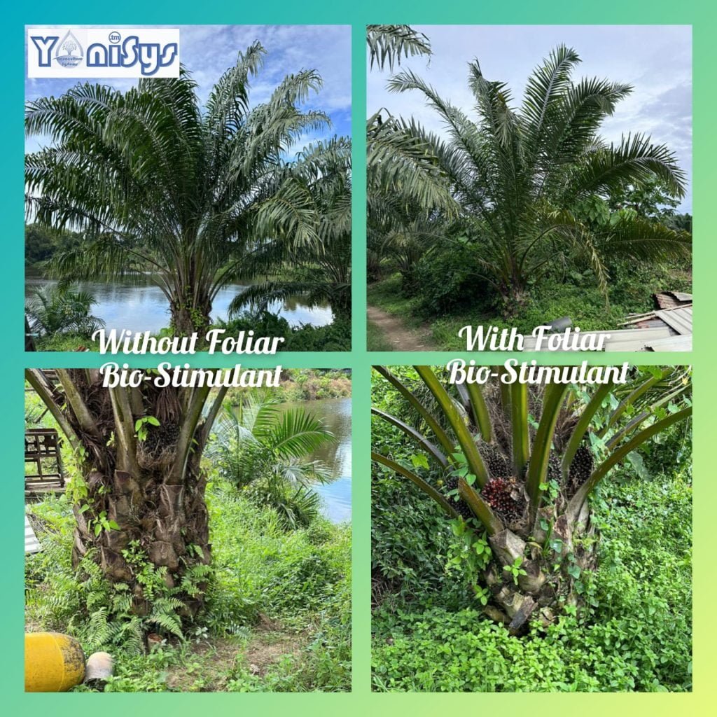 WhatsApp Image 2023 11 07 at 2.17.09 PM