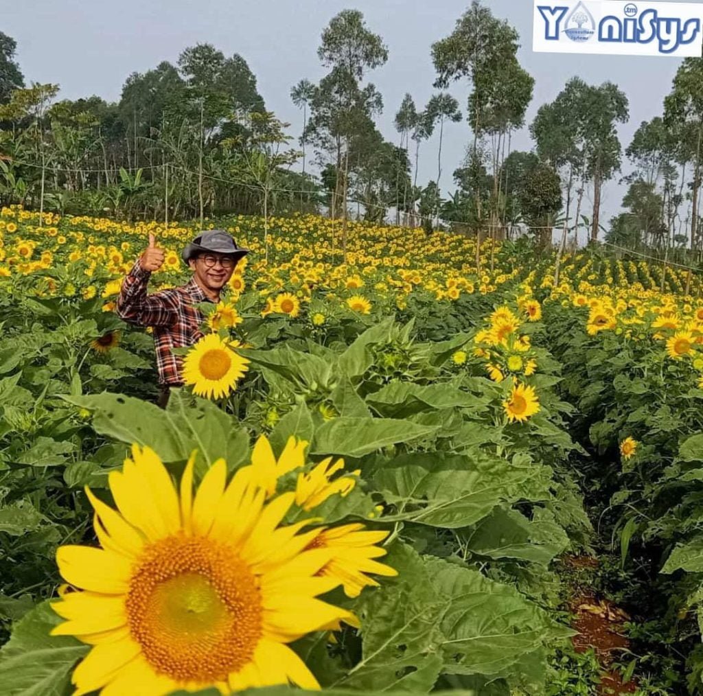 WhatsApp Image 2023 11 07 at 2.17.12 PM