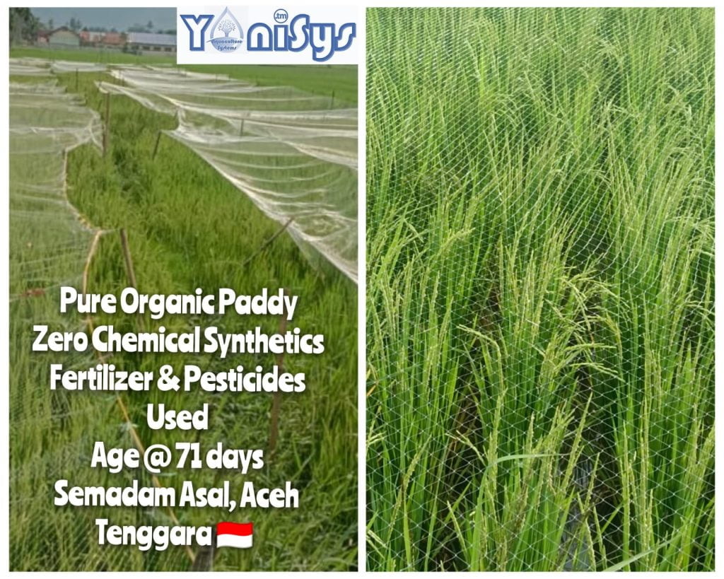 WhatsApp Image 2023 11 07 at 2.17.16 PM