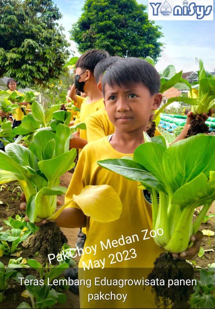 WhatsApp Image 2023 11 07 at 2.17.28 PM