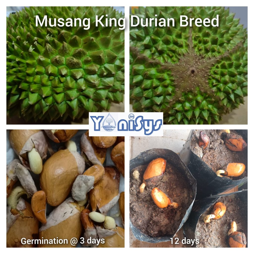 WhatsApp Image 2023 11 07 at 2.17.34 PM