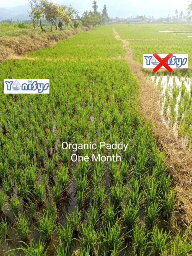 WhatsApp Image 2023 11 07 at 2.17.59 PM