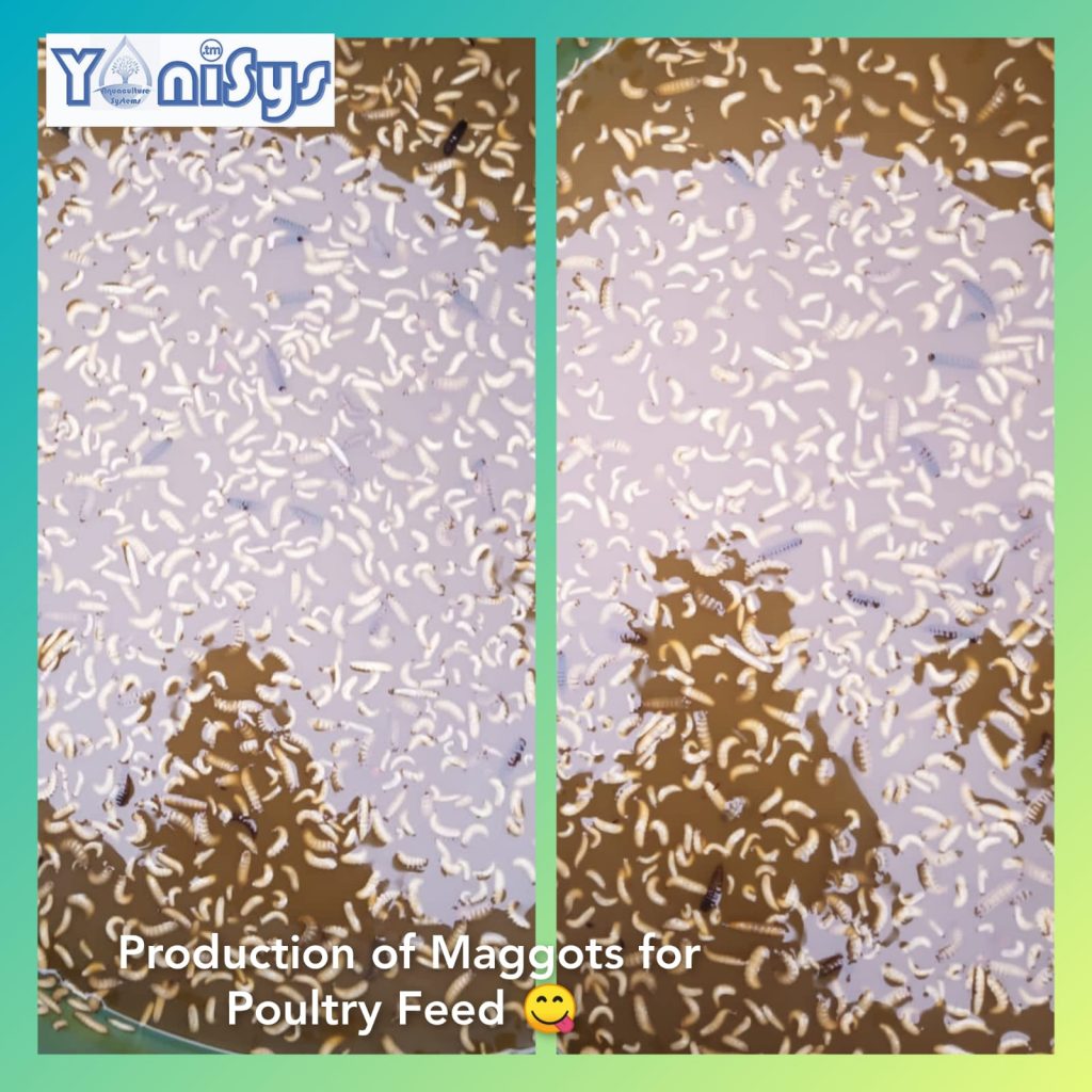 WhatsApp Image 2023 11 07 at 2.18.27 PM