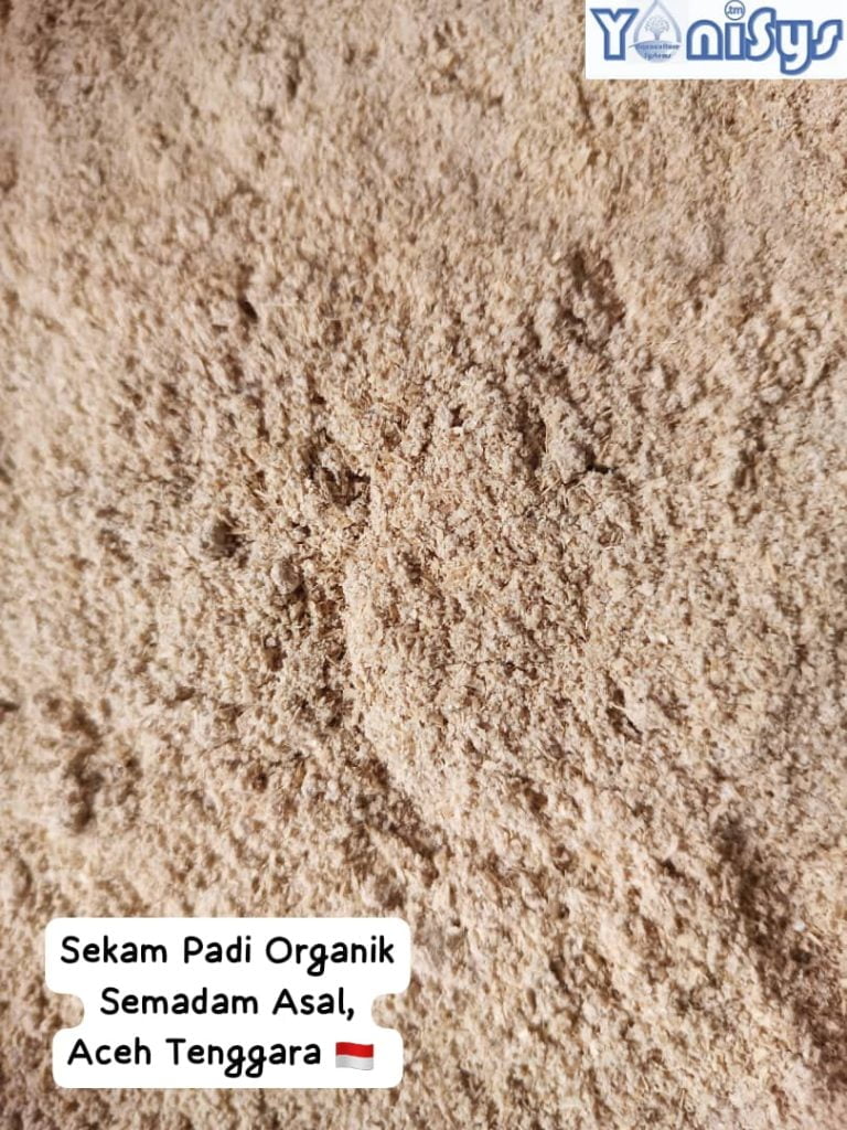 WhatsApp Image 2023 11 07 at 2.18.31 PM