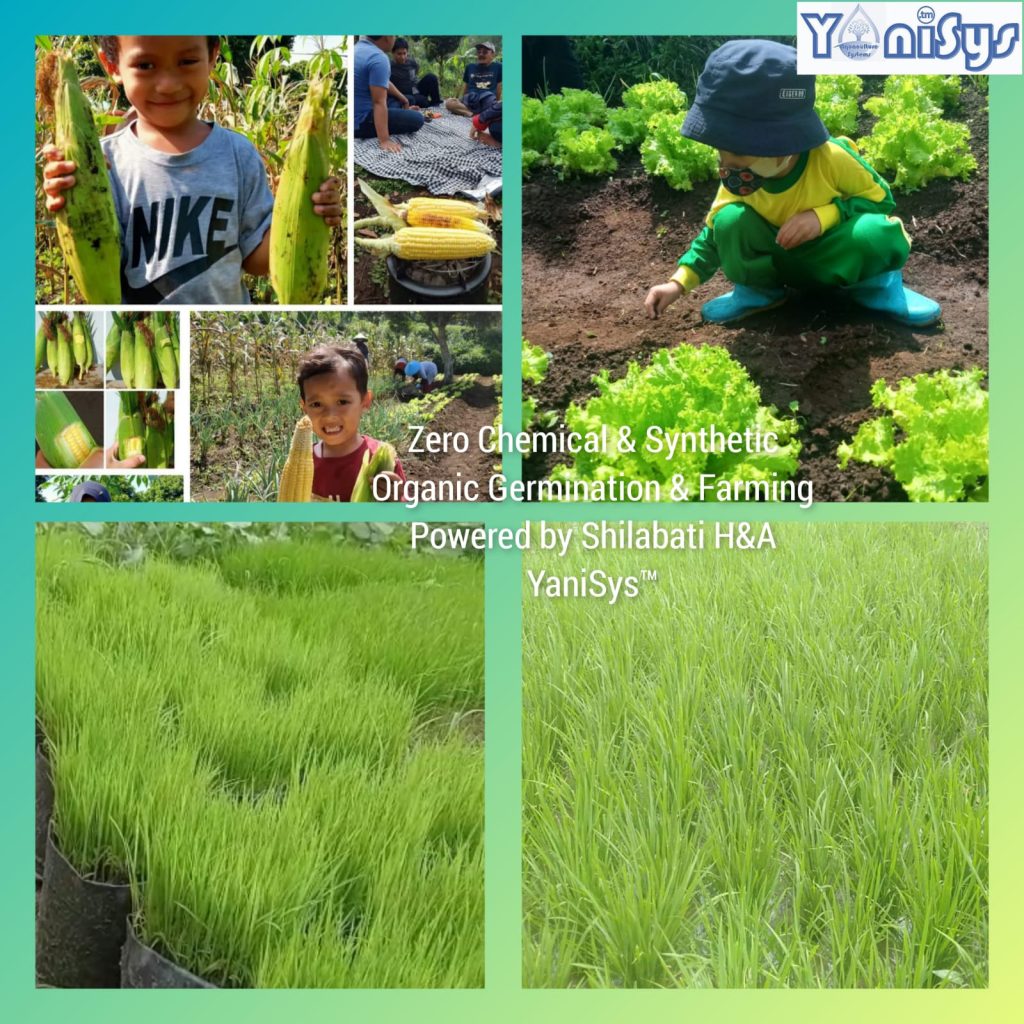 WhatsApp Image 2023 11 07 at 2.18.39 PM