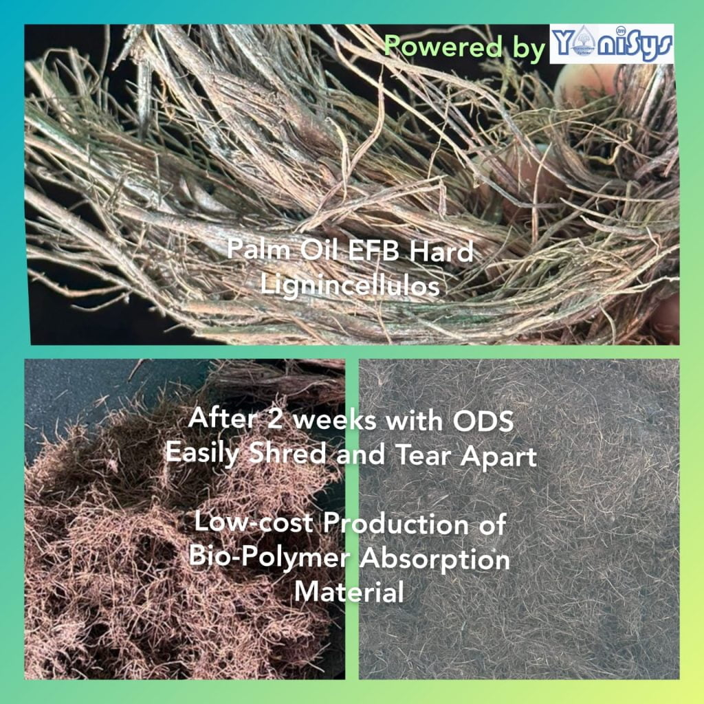 WhatsApp Image 2023 11 07 at 2.18.40 PM