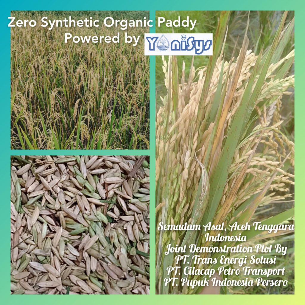 WhatsApp Image 2023 11 07 at 2.18.43 PM