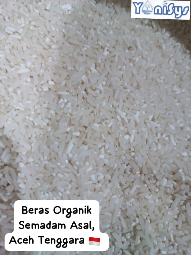 WhatsApp Image 2023 11 07 at 2.18.50 PM (1)