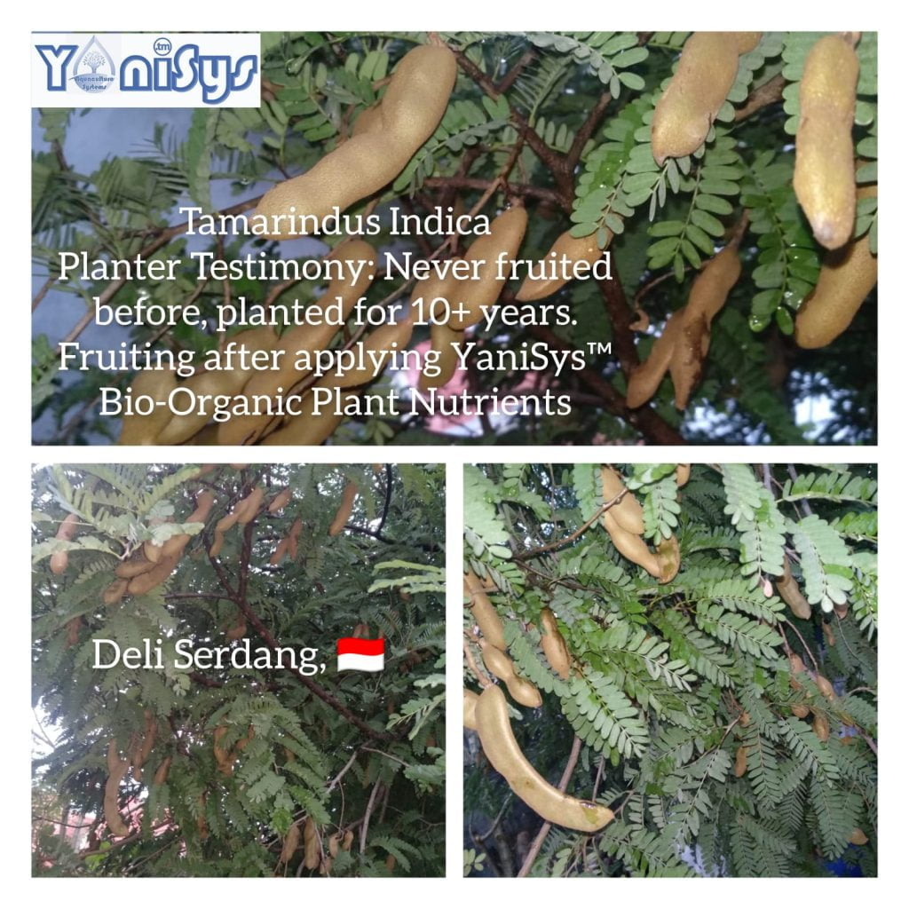 WhatsApp Image 2023 11 07 at 2.18.50 PM