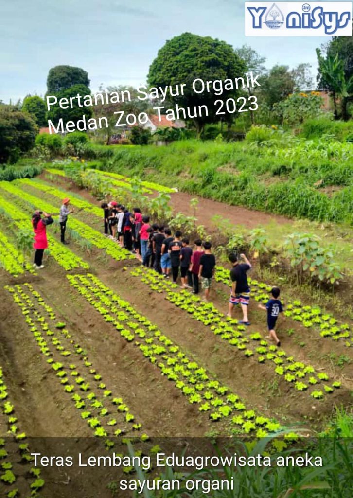 WhatsApp Image 2023 11 07 at 2.18.51 PM