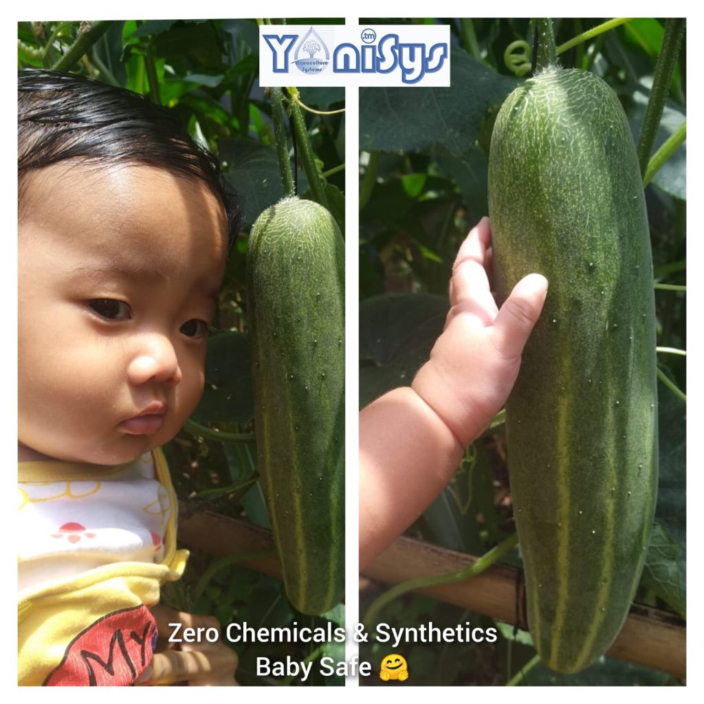 WhatsApp Image 2023 11 07 at 2.18.54 PM