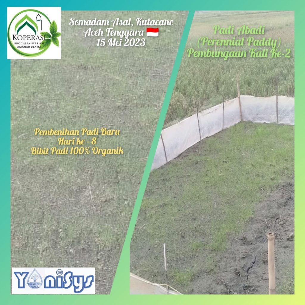 WhatsApp Image 2023 11 07 at 2.18.56 PM