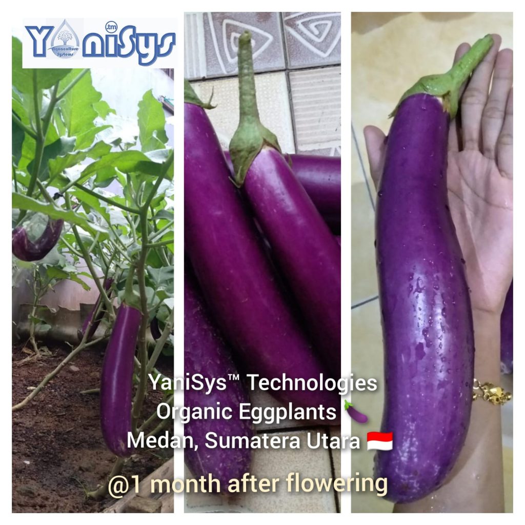 WhatsApp Image 2023 11 07 at 2.18.59 PM