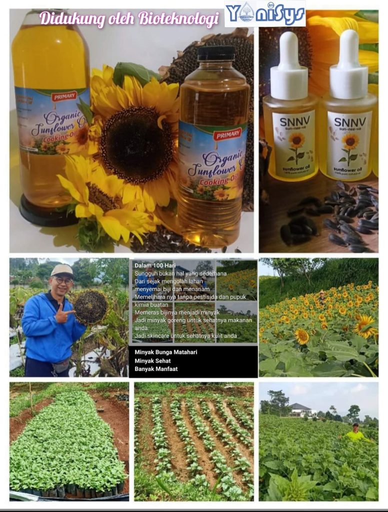 WhatsApp Image 2023 11 07 at 2.19.12 PM (1)