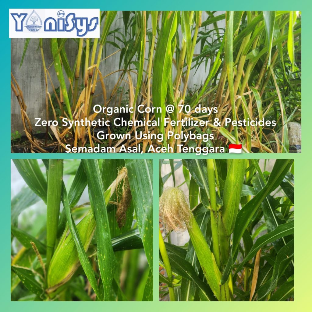 WhatsApp Image 2023 11 07 at 2.19.12 PM