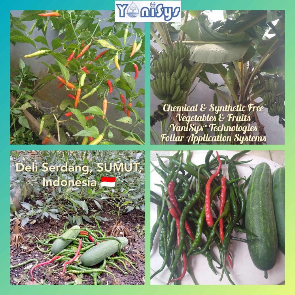 WhatsApp Image 2023 11 07 at 2.19.13 PM