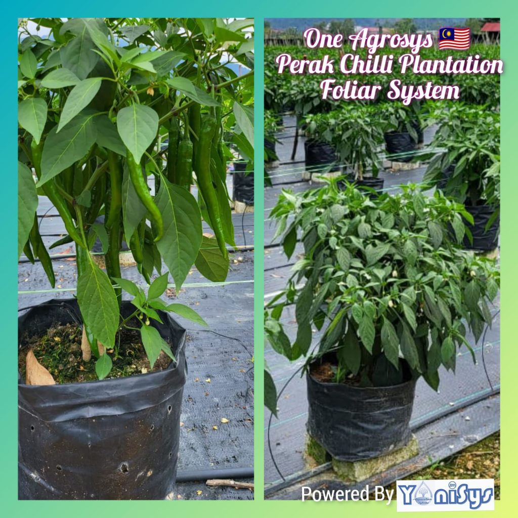 WhatsApp Image 2023 11 07 at 2.19.14 PM