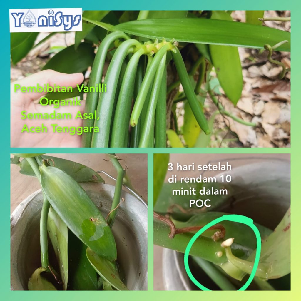 WhatsApp Image 2023 11 07 at 2.19.15 PM