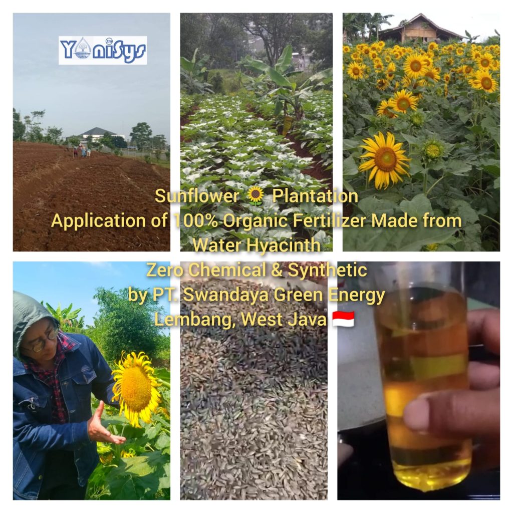 WhatsApp Image 2023 11 07 at 2.19.16 PM