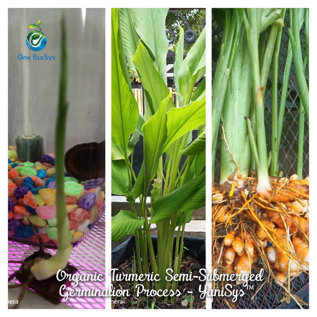 WhatsApp Image 2023 11 07 at 2.19.17 PM (1)