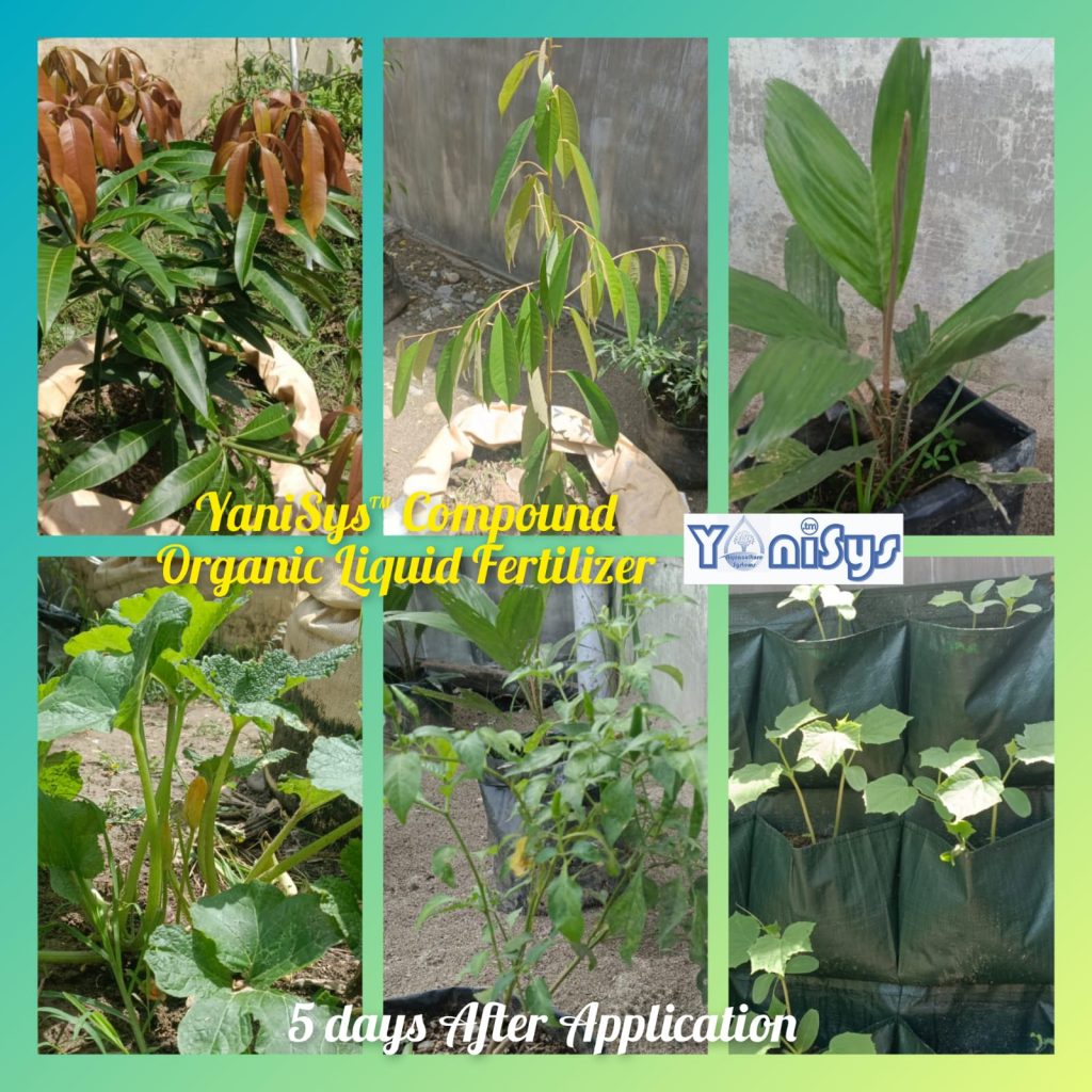 WhatsApp Image 2023 11 07 at 2.19.17 PM