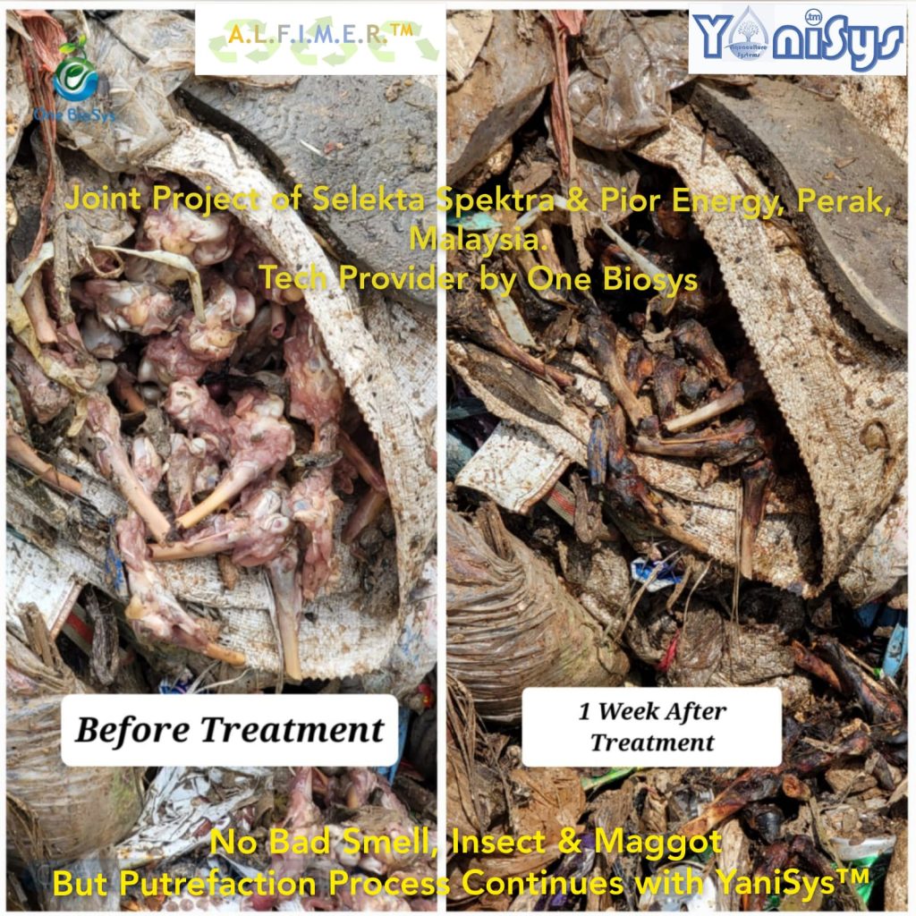 WhatsApp Image 2023 11 07 at 2.19.17 PM (2)