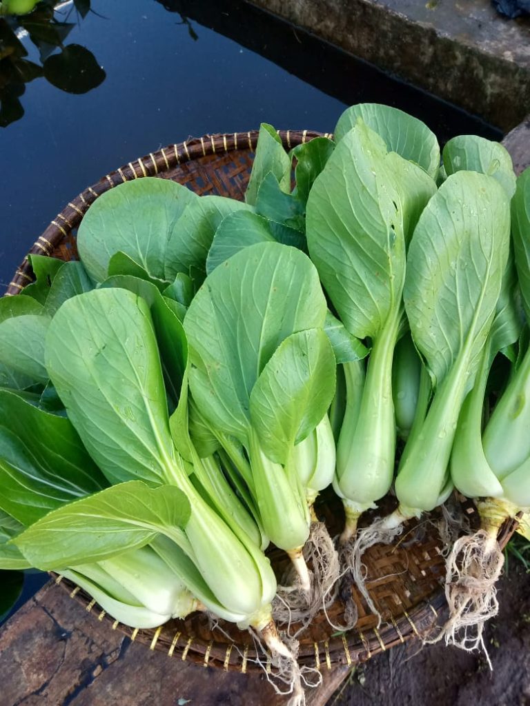 WhatsApp Image 2023 11 07 at 2.19.19 PM (1)