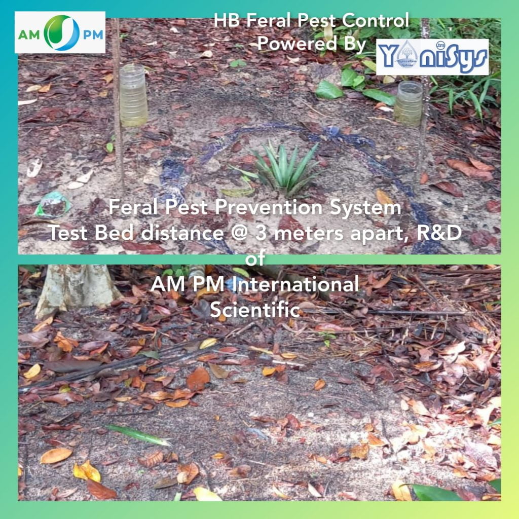 WhatsApp Image 2023 11 07 at 2.19.19 PM