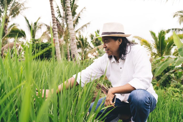 balinese-man-with-cellular-phone-touching-paddy-p-2023-03-28-20-19-59-utc