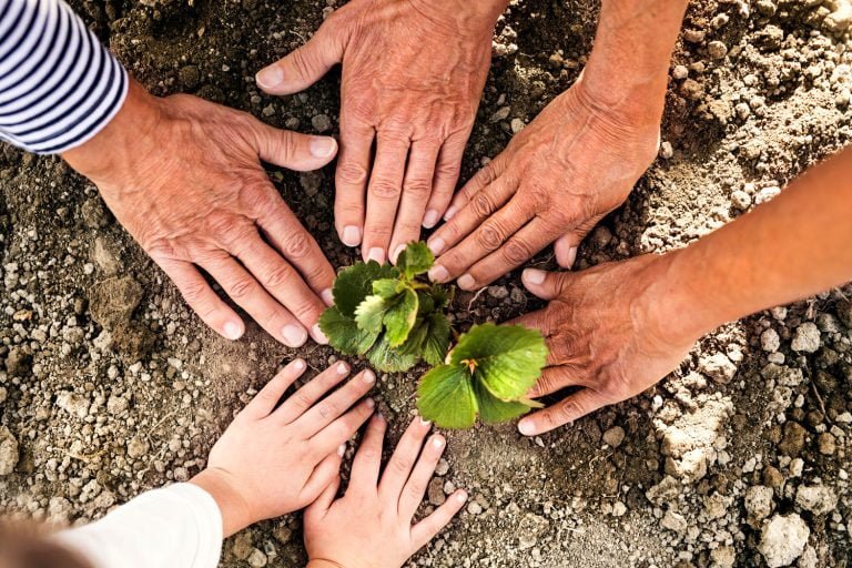 senior-couple-with-granddaughter-gardening-in-the-2021-08-26-12-08-00-utc