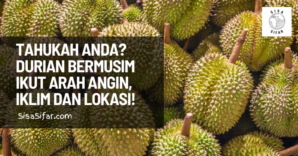 04e80651 0113 4ae4 A51d 8c84af68f2d2