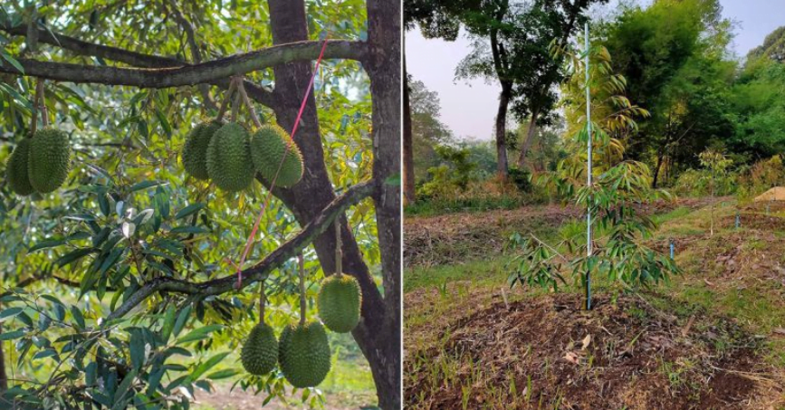 Screenshot 2024 03 13 150619