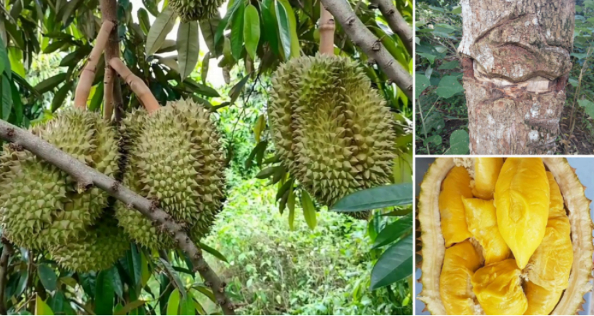 Screenshot 2024 03 13 151028