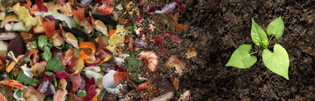 Screenshot 2024 03 13 153809