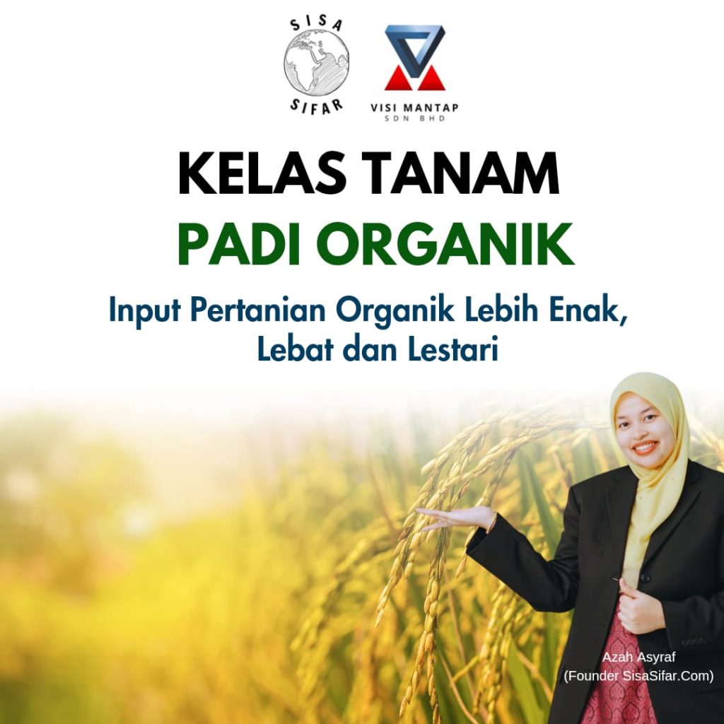 Whatsapp Image 2024 02 29 At 18.22.03 B90d2e49 1