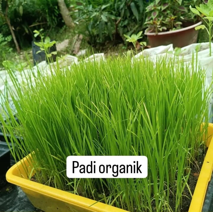 Whatsapp Image 2024 03 13 At 14.48.19 8ad02717